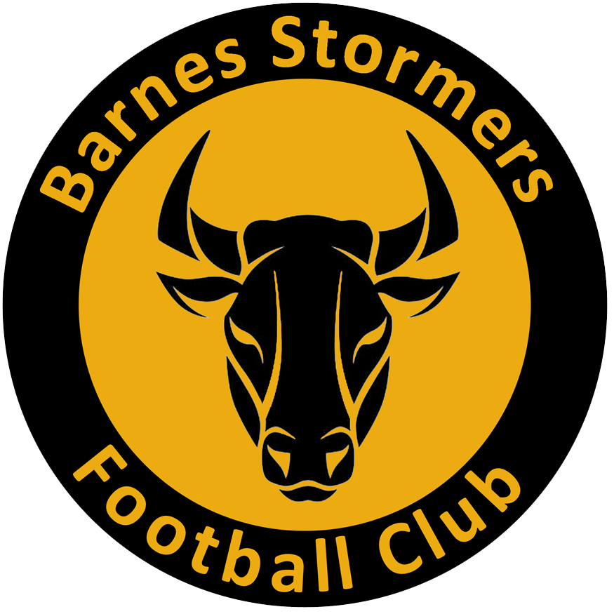 Barnes Stormers